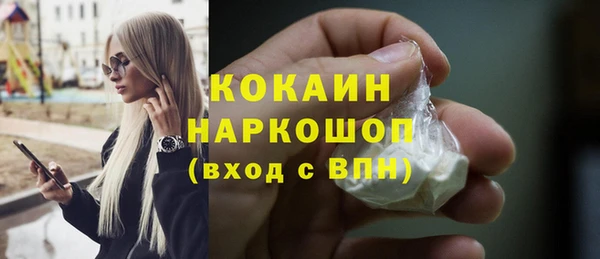 мдпв Коряжма