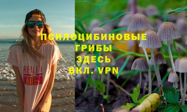 дживик Корсаков