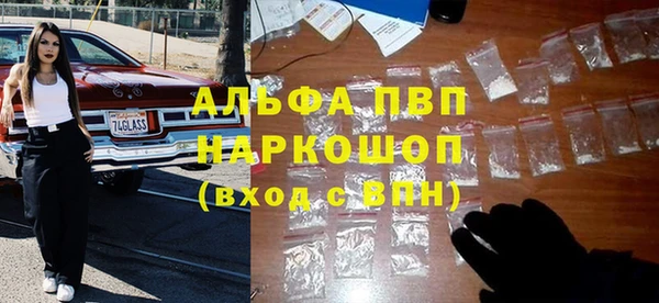 дживик Корсаков