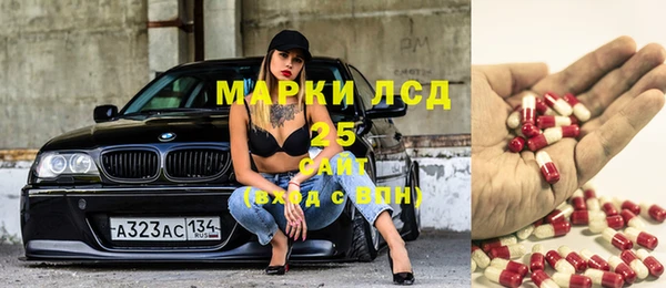 дживик Корсаков