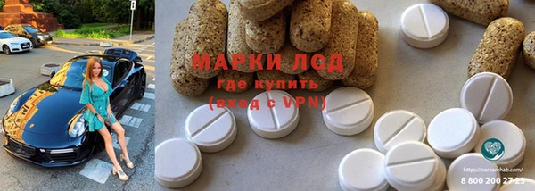 спиды Козельск